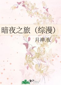 暗夜之旅(綜漫)